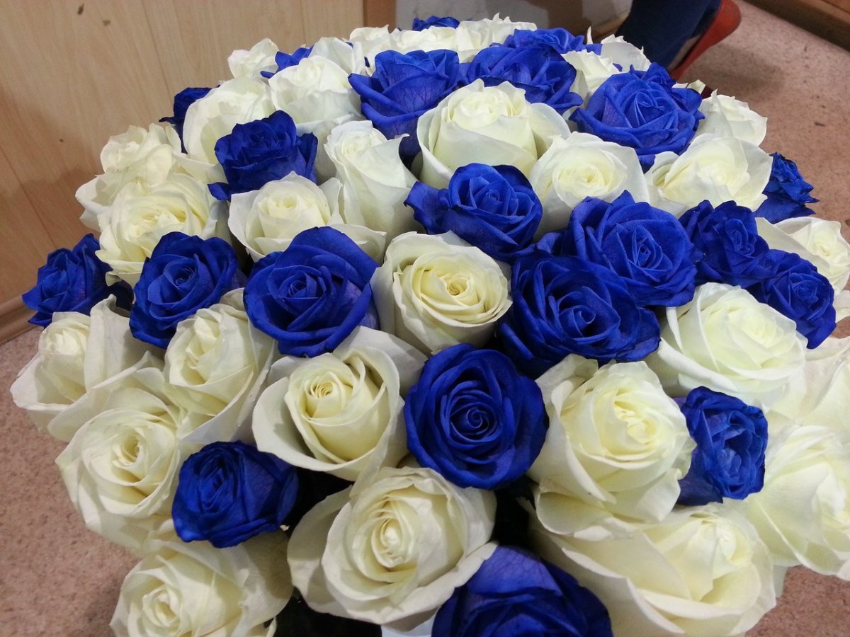 Цветы синего цвета для букета