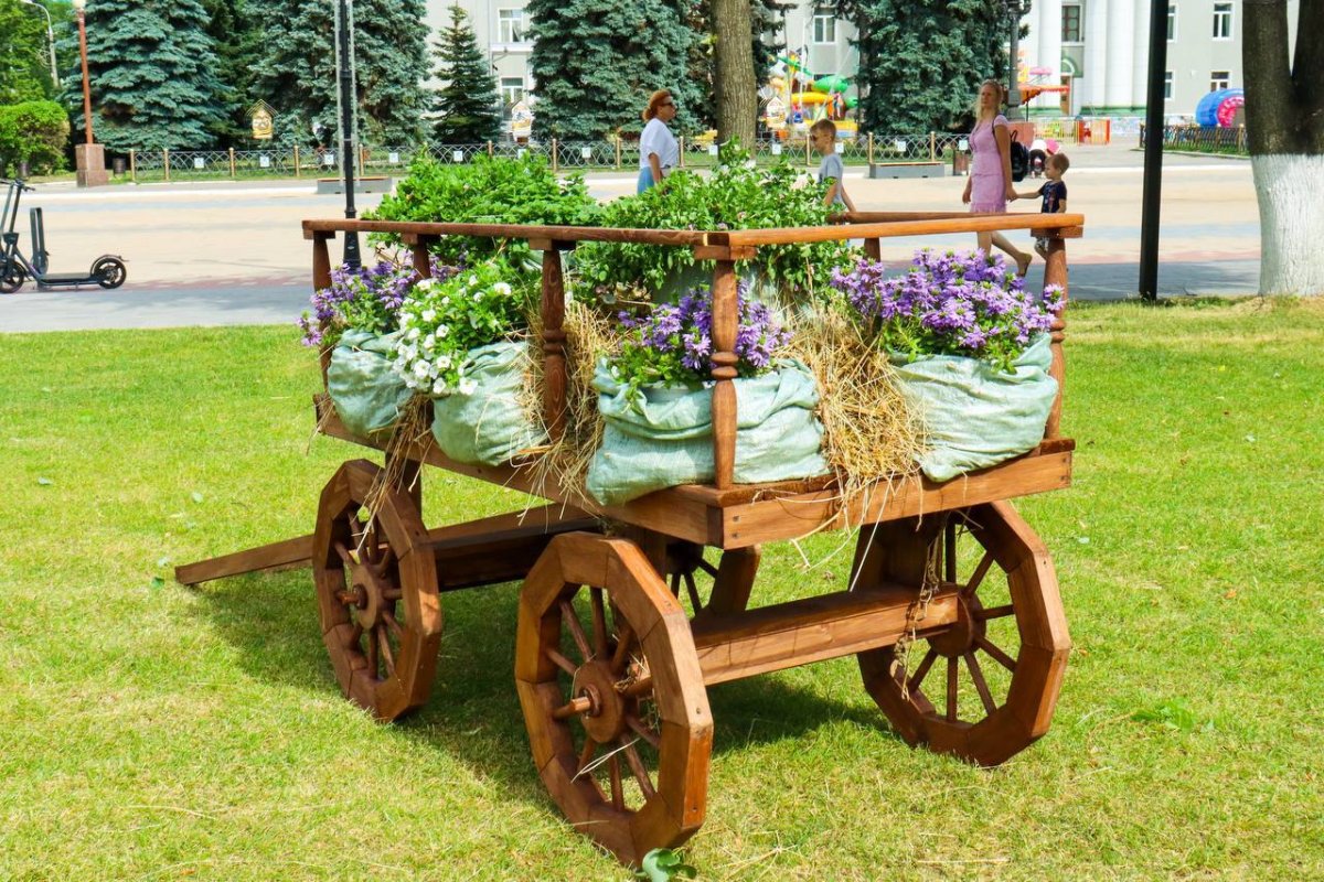 Необычное украшение города