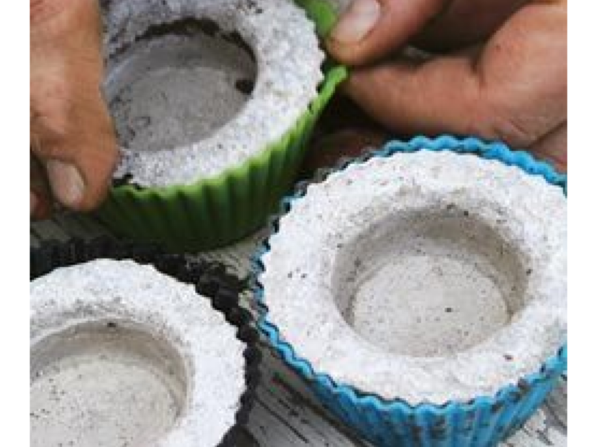 Горшок из гипса для кактуса своими