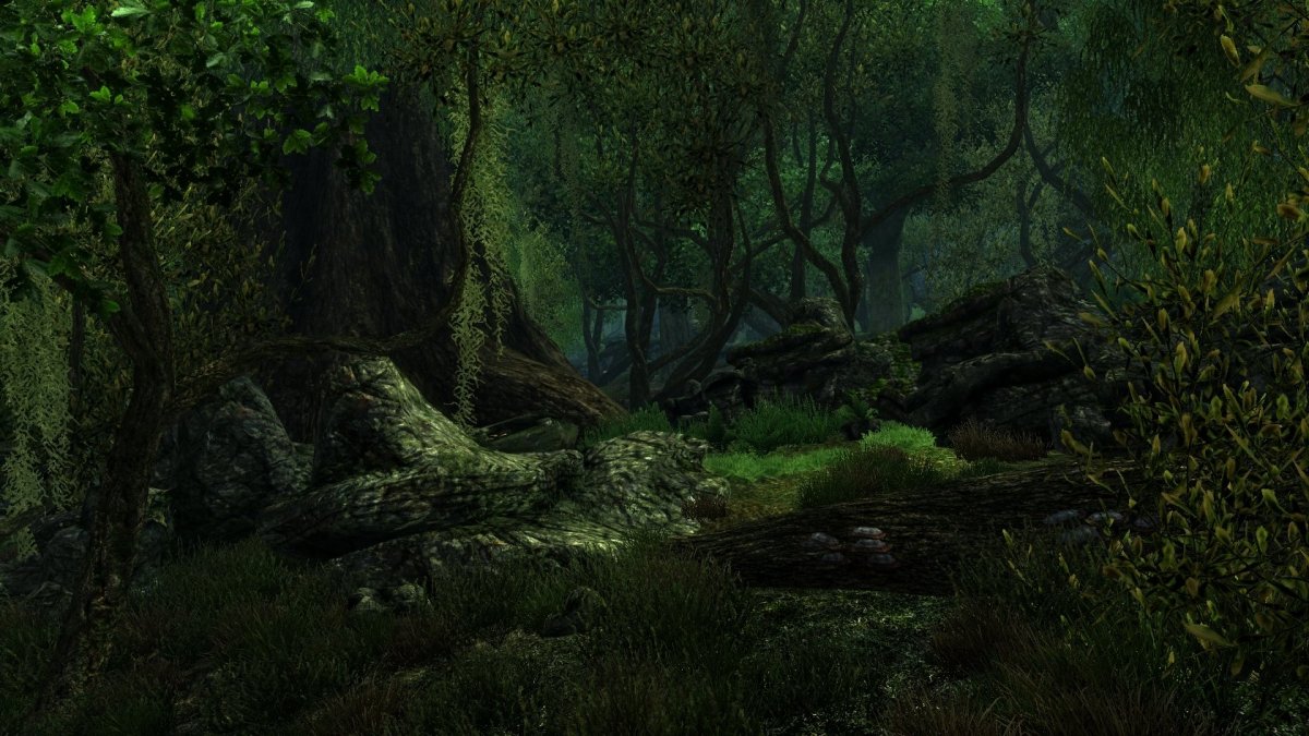 Fangorn Властелин колец