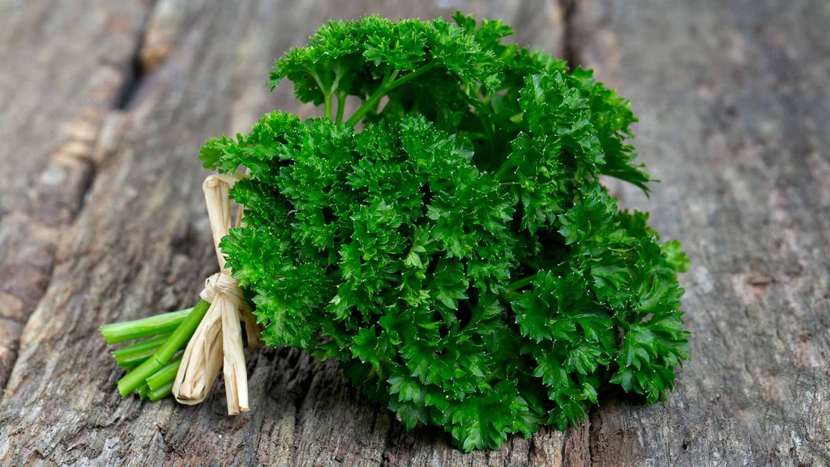 Петрушка parsley