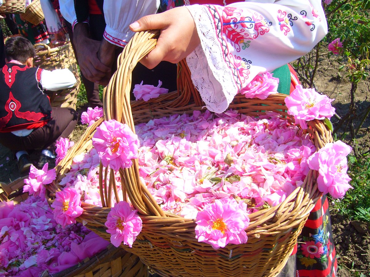 Казанлык Болгария фестиваль роз