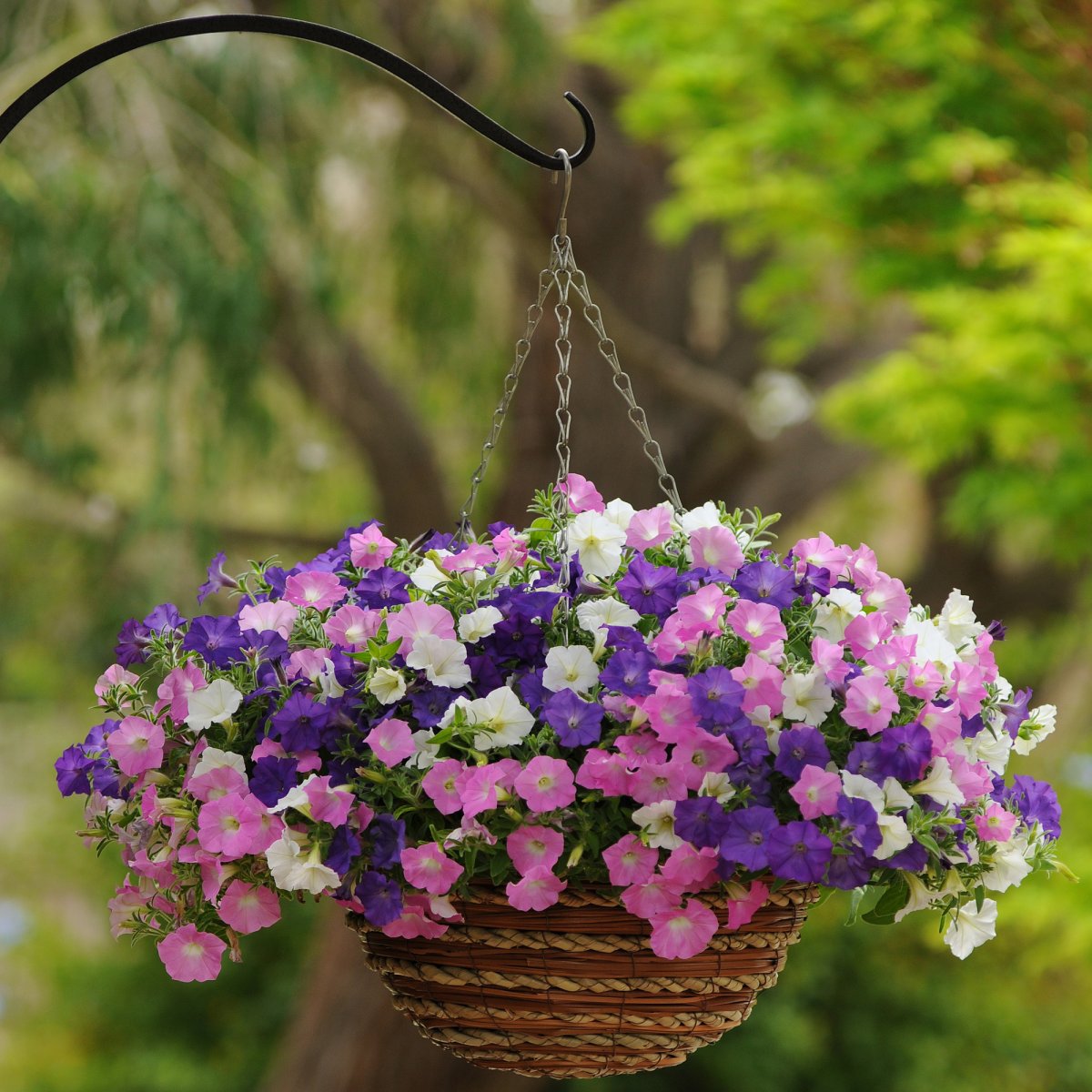 Кашпо Set 2 Planter Golden Metal