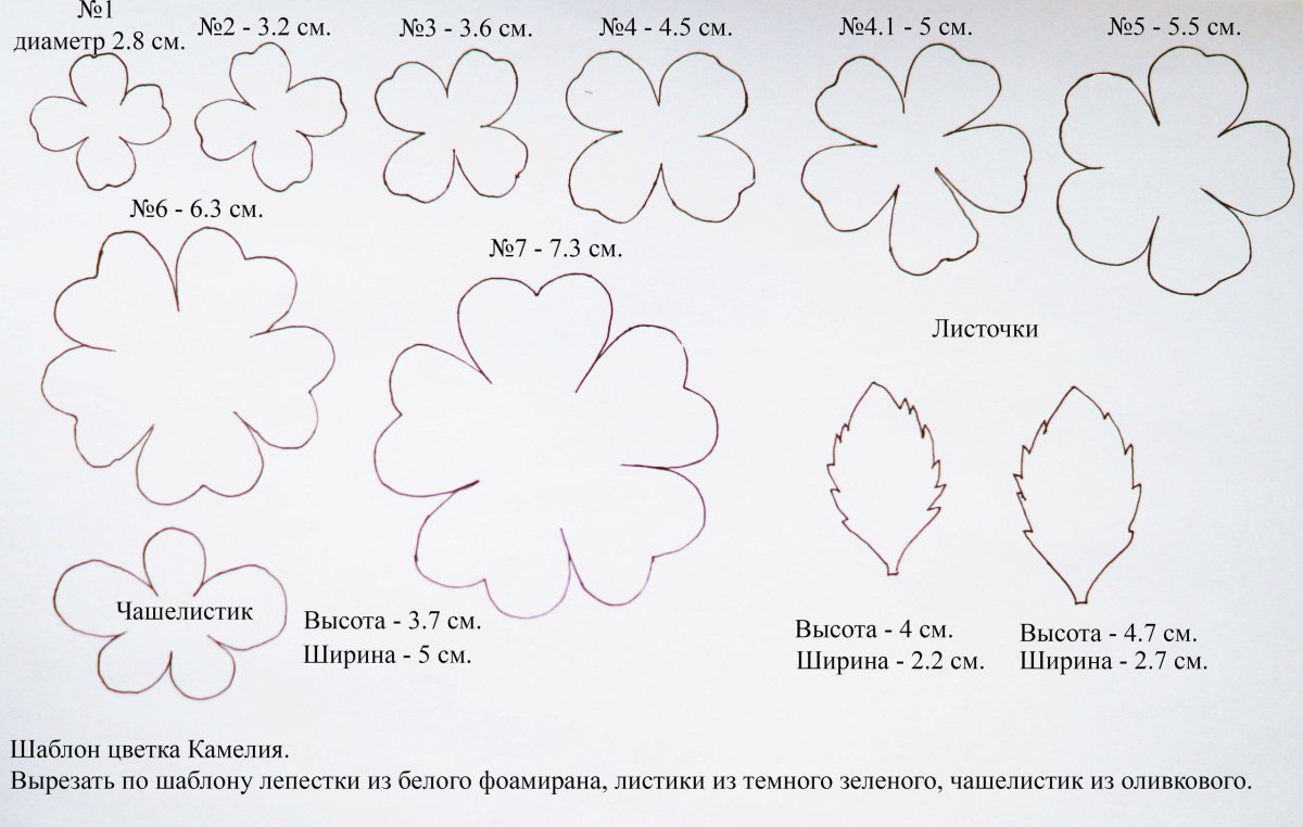 Выкройки цветов из фоамира