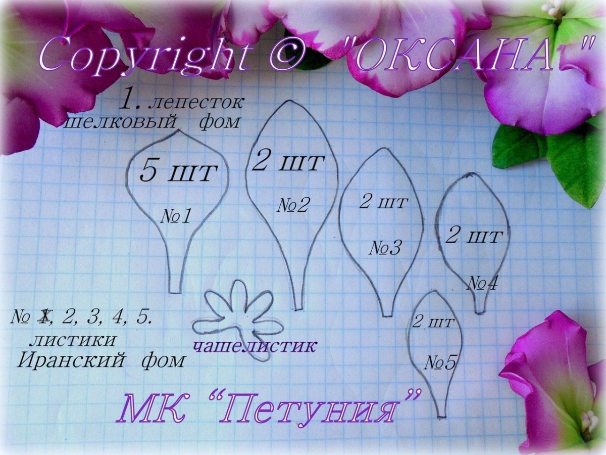 Выкройка лепестков и листьев гладиолуса