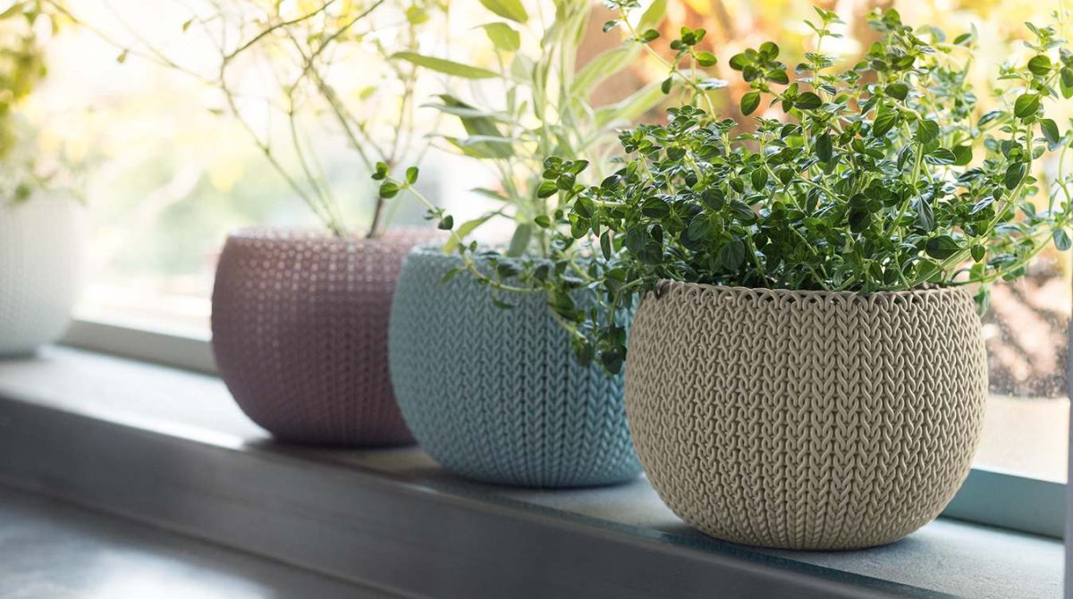 Кашпо Keter cozies