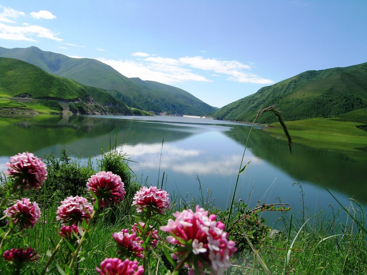 Море горы цветы