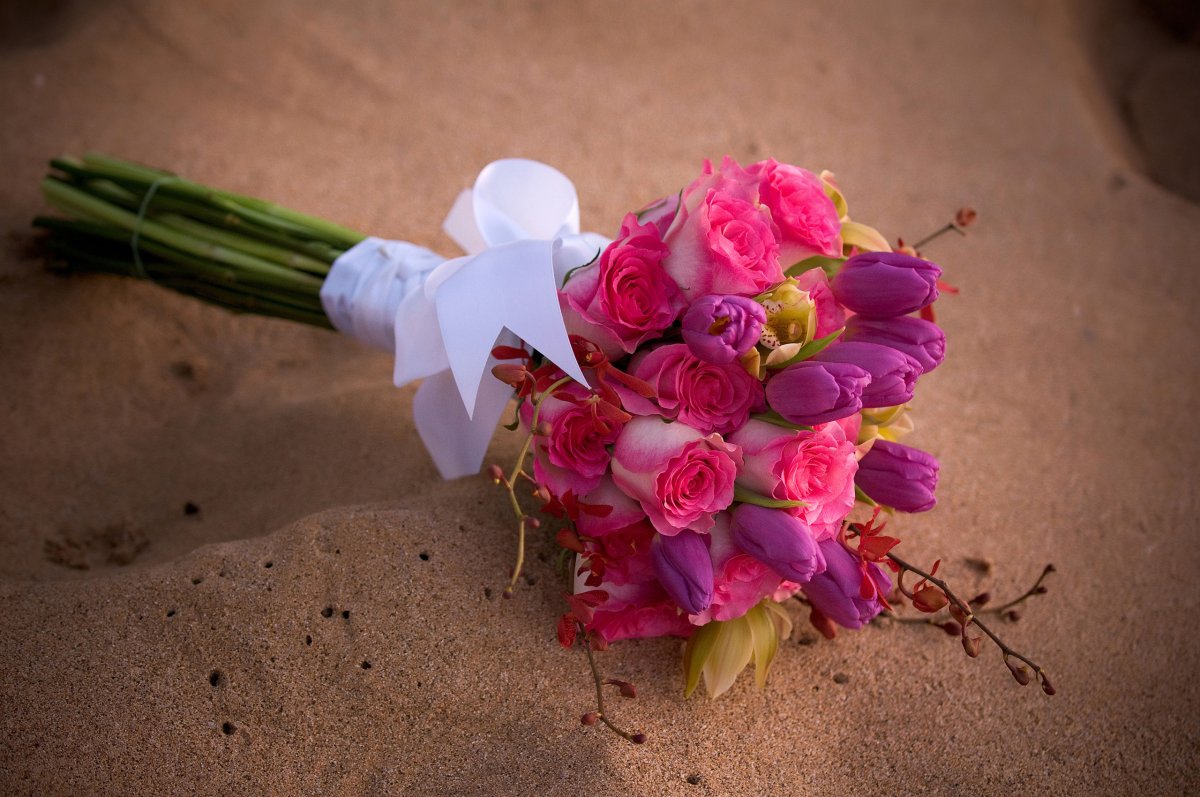 Фрезия (Freesia)
