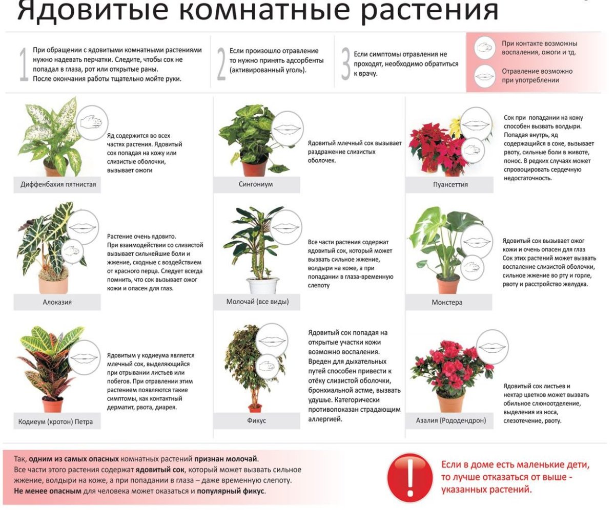 Цветочная рамка круглая