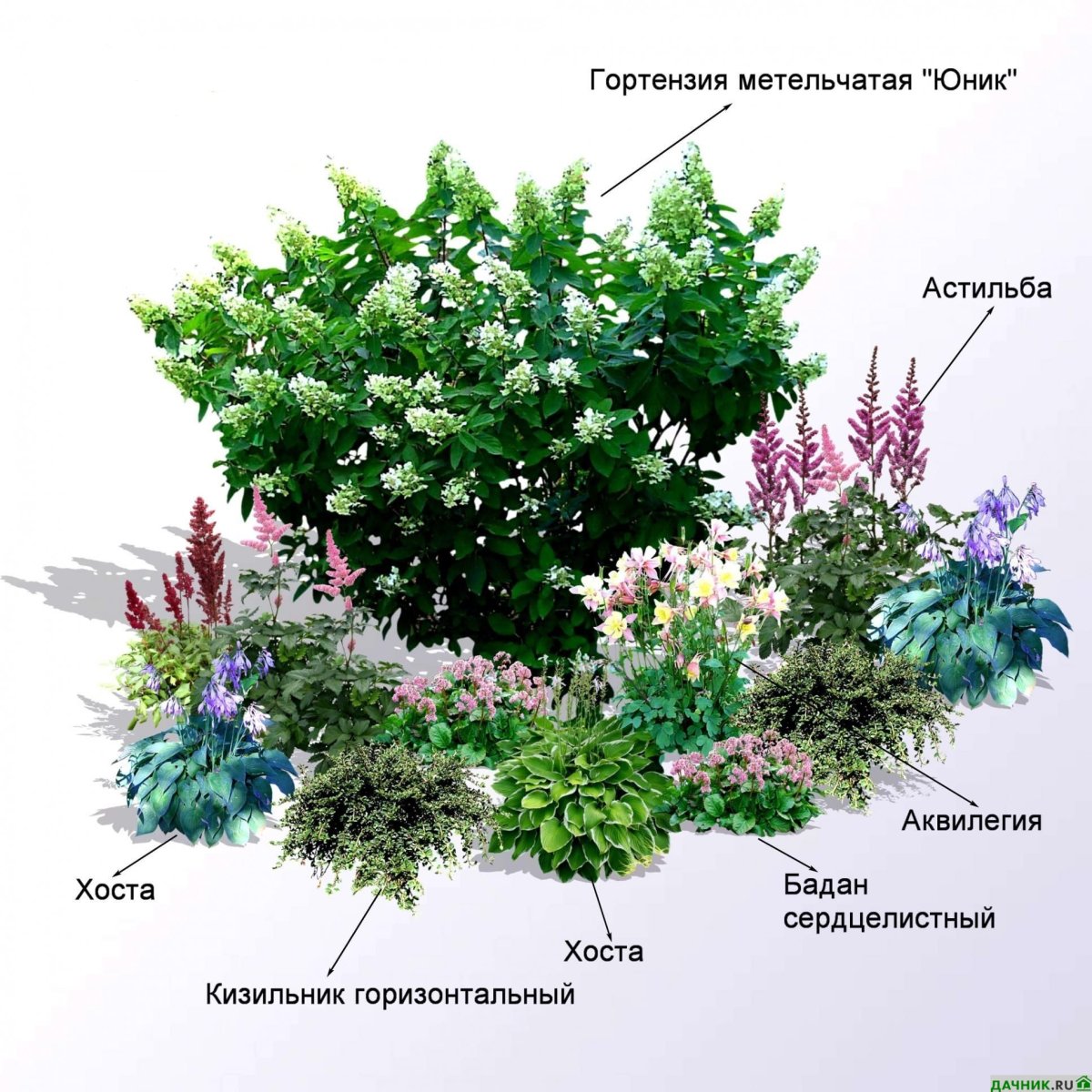 Рожок с букетом акварель