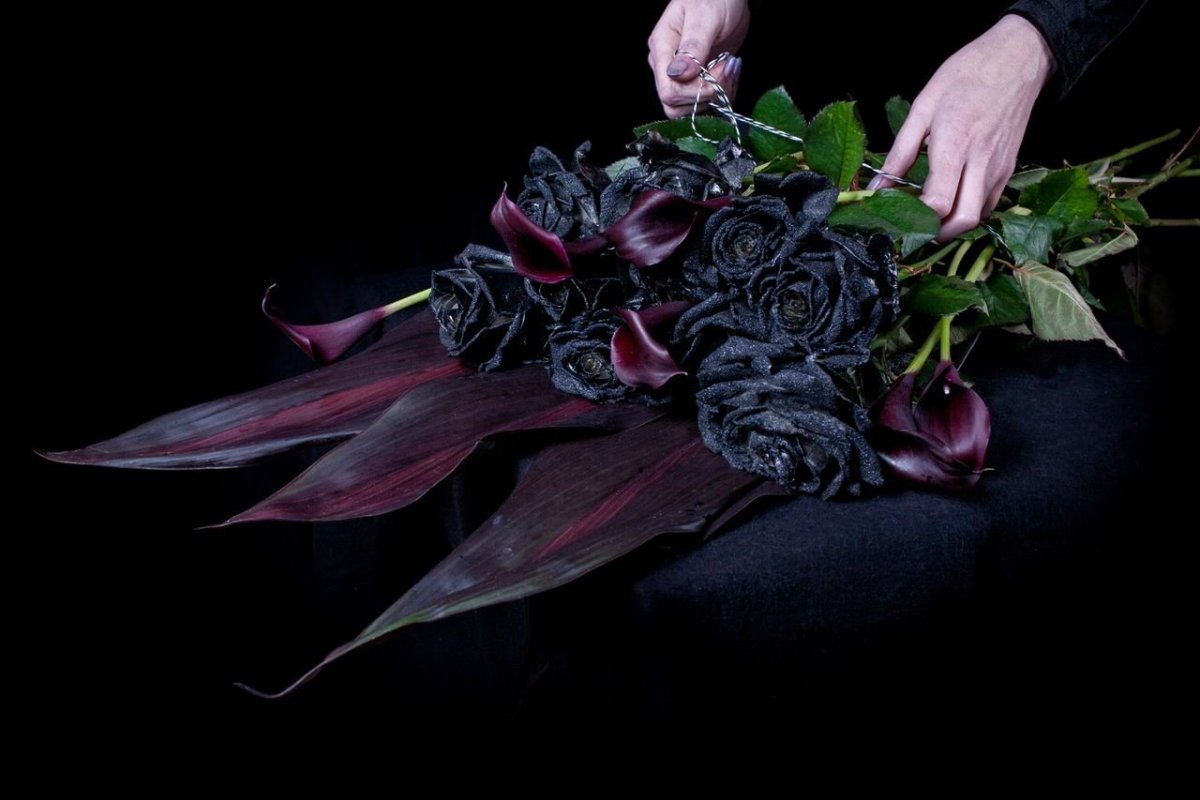 Черные розы цветы