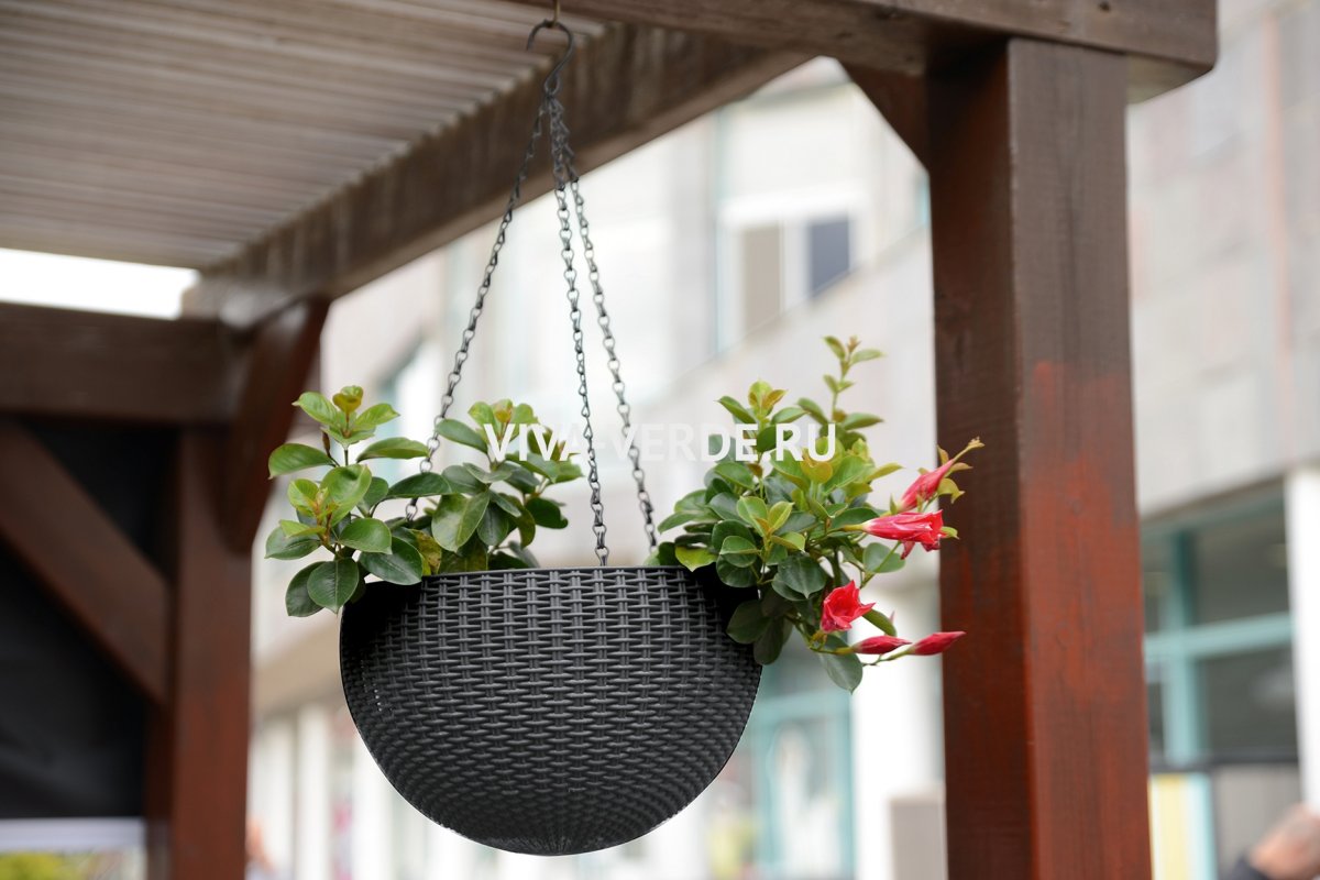 Кашпо Set 2 Planter Golden Metal