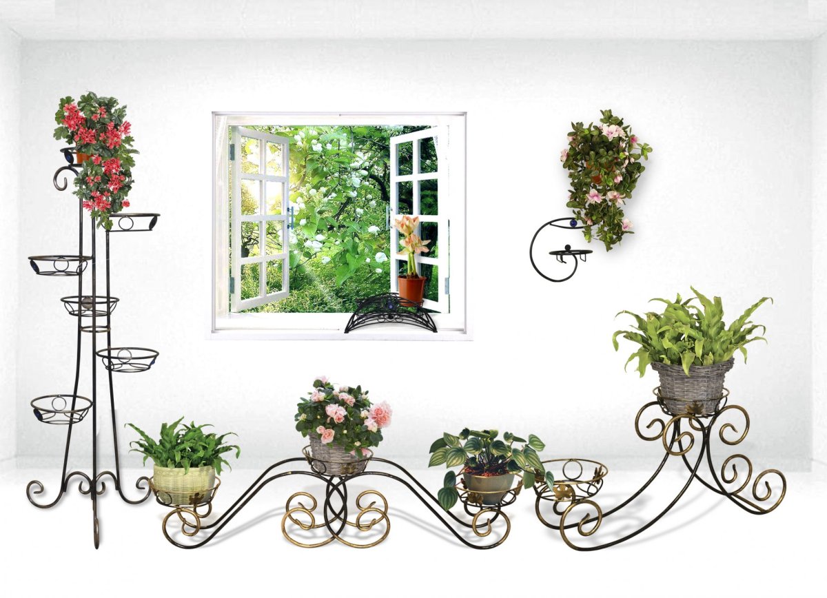 Plants in Hanging Planters