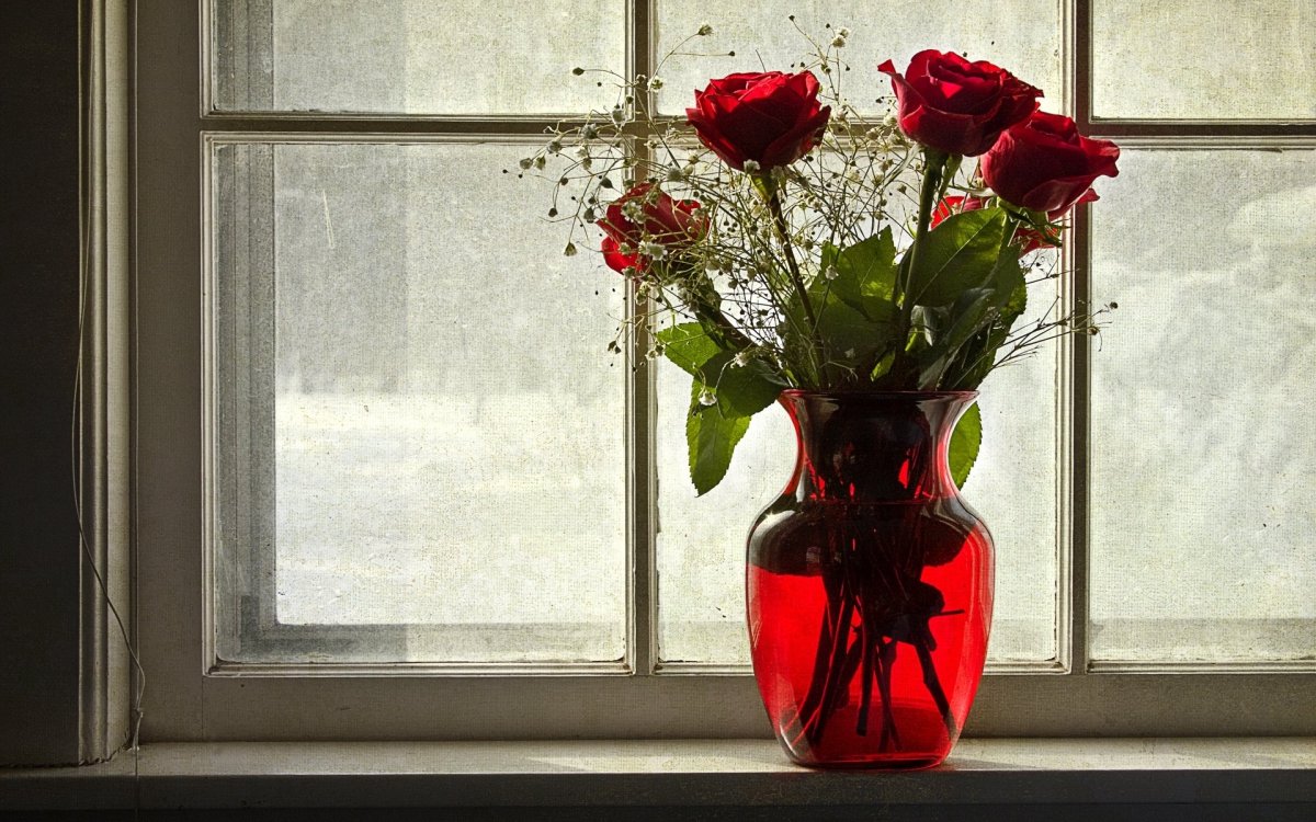 Букет роз на окне