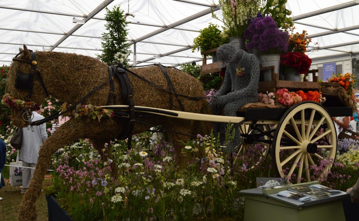 Chelsea Flower show в Великобритании шатры