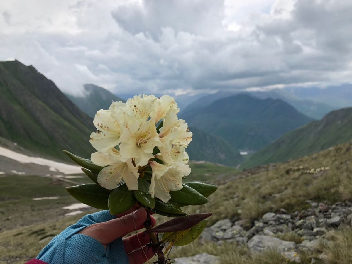 Ущелье Коби