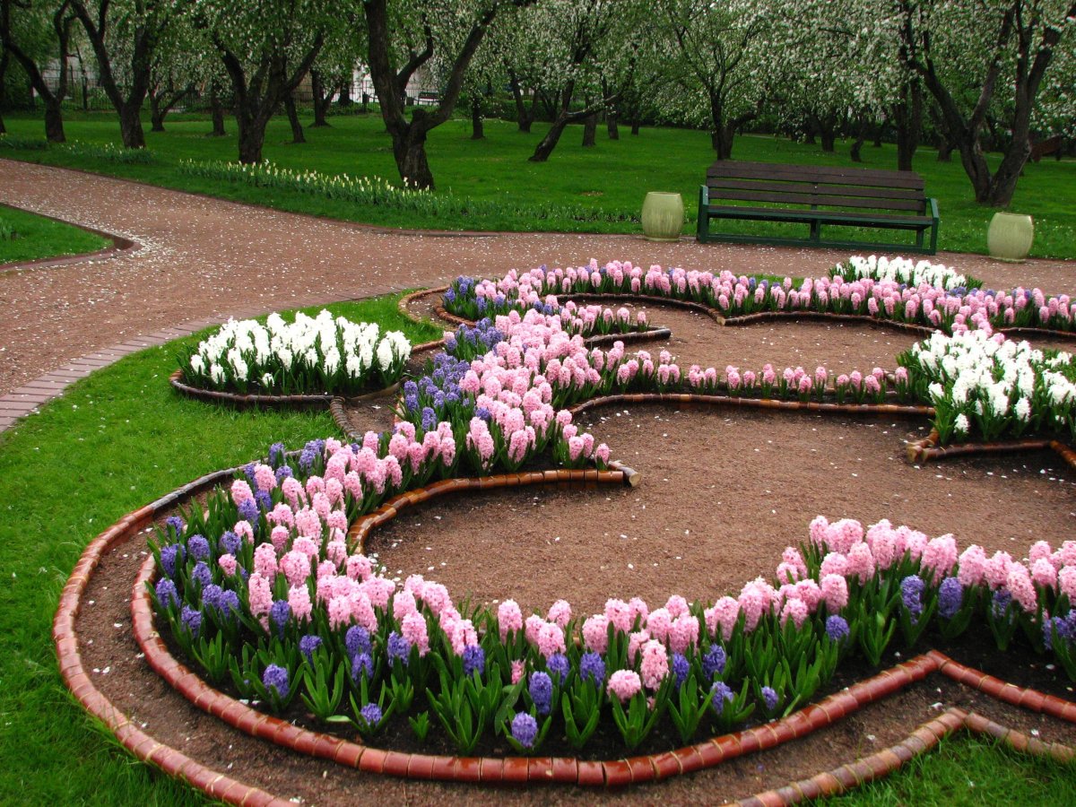 Красивые клумбы