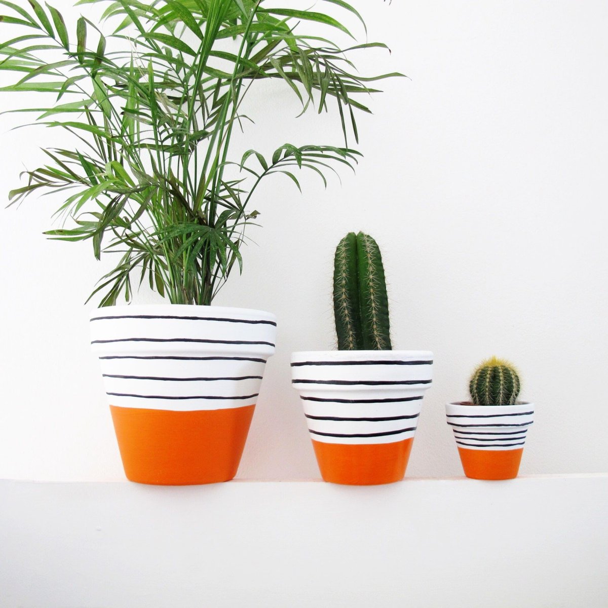 Orange Pot