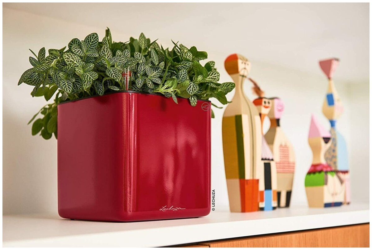 Кашпо Lechuza pila growpot Color