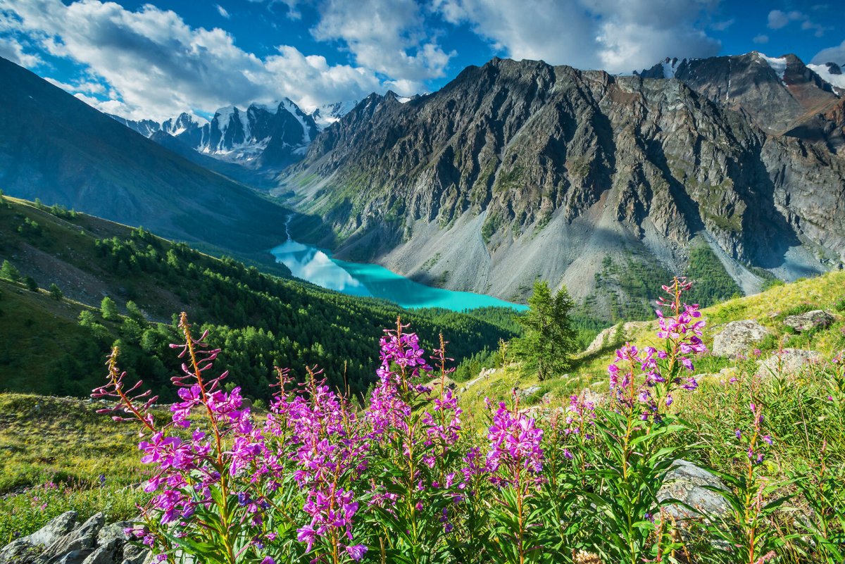 Горно Алтайск природа