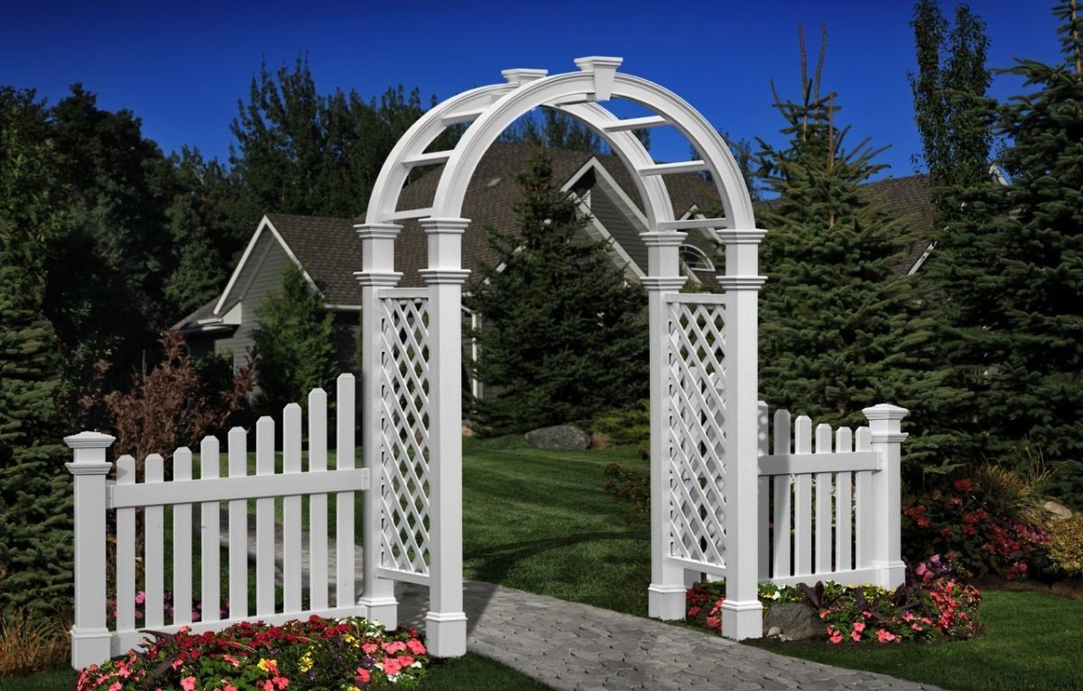 Гарден гейт (Garden Gate) плетистая
