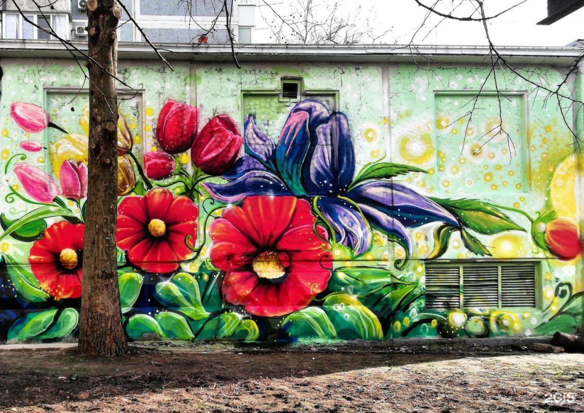 Краснодар Ромашка стрит арт