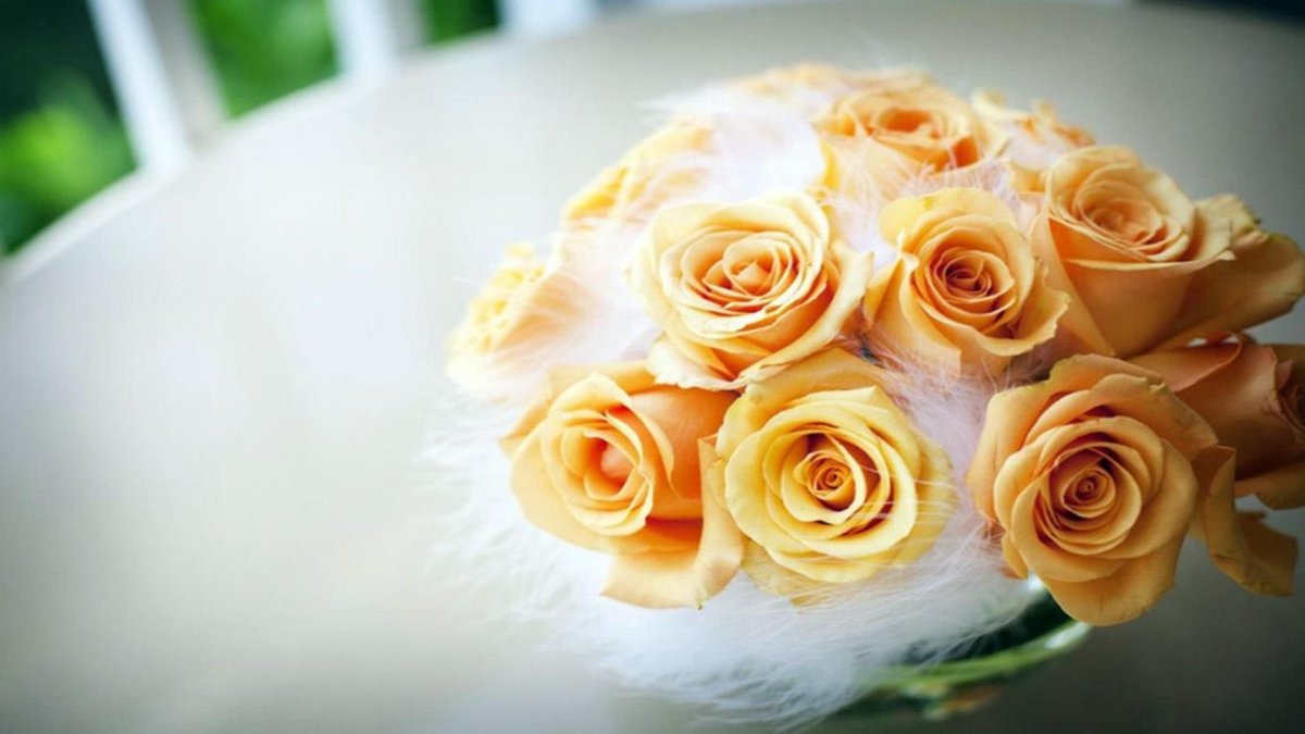 Wedding HD Orange