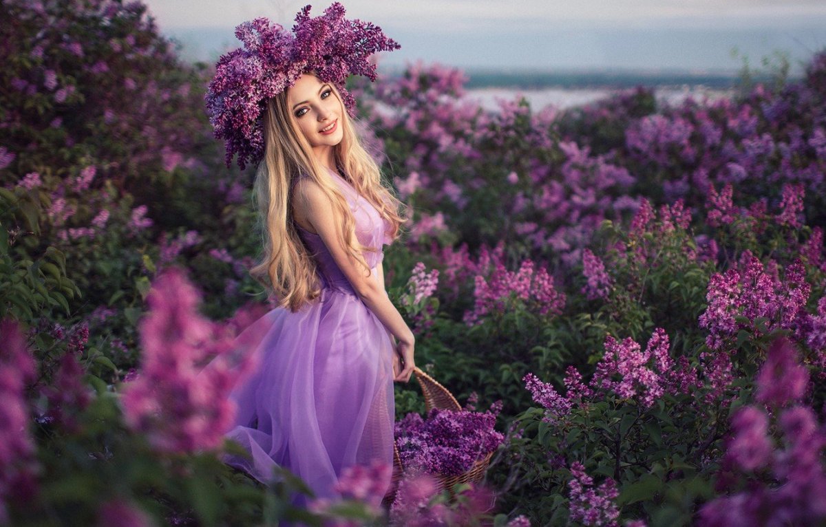 Сирень леди Линдсей