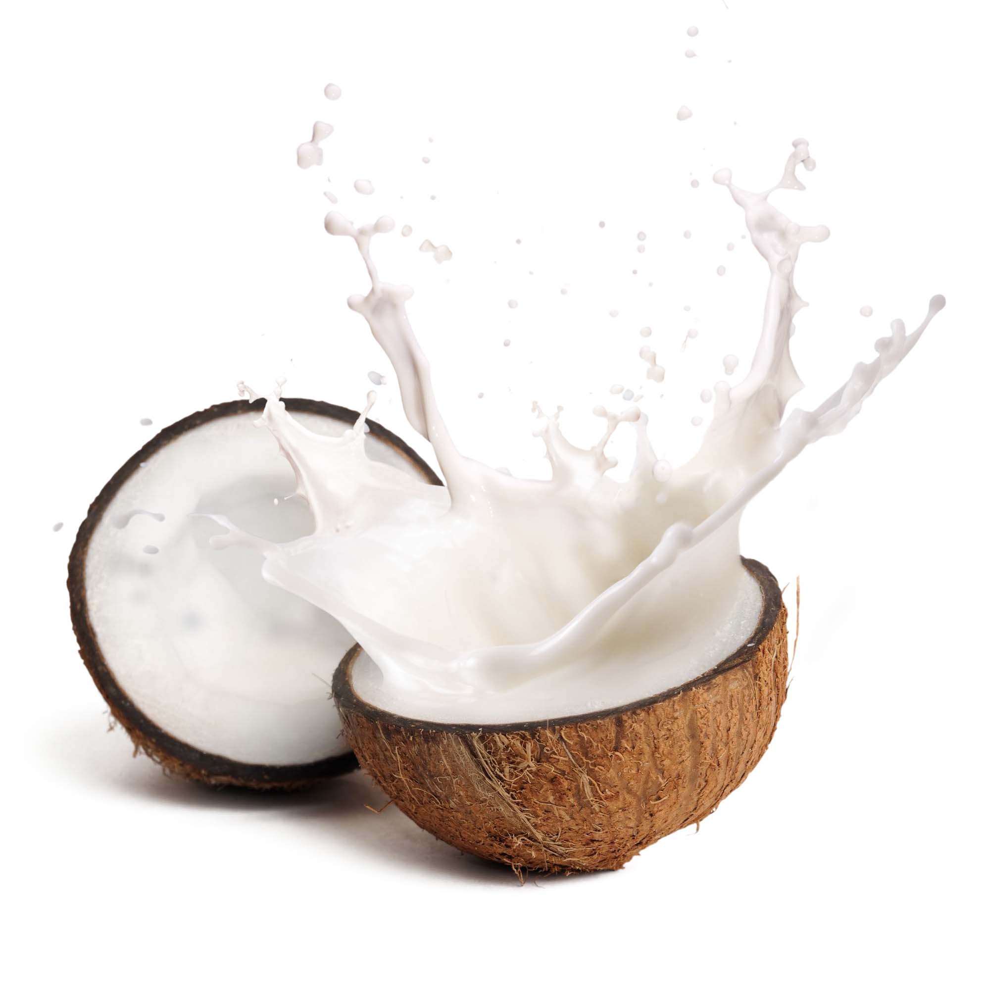 Планто кокосовое молоко. Кокосовое молоко Coconut Milk. Кокосовое молоко на белом фоне. Кокос на белом фоне. Кокосовое молоко в кокосе.