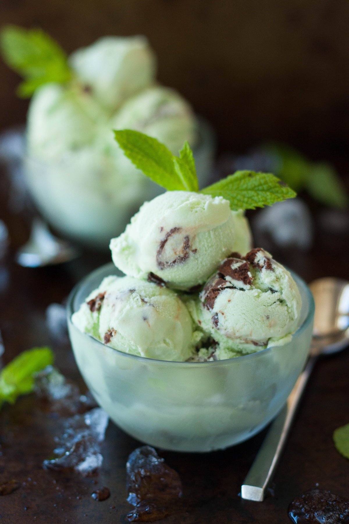 Mint Chocolate Ice Cream