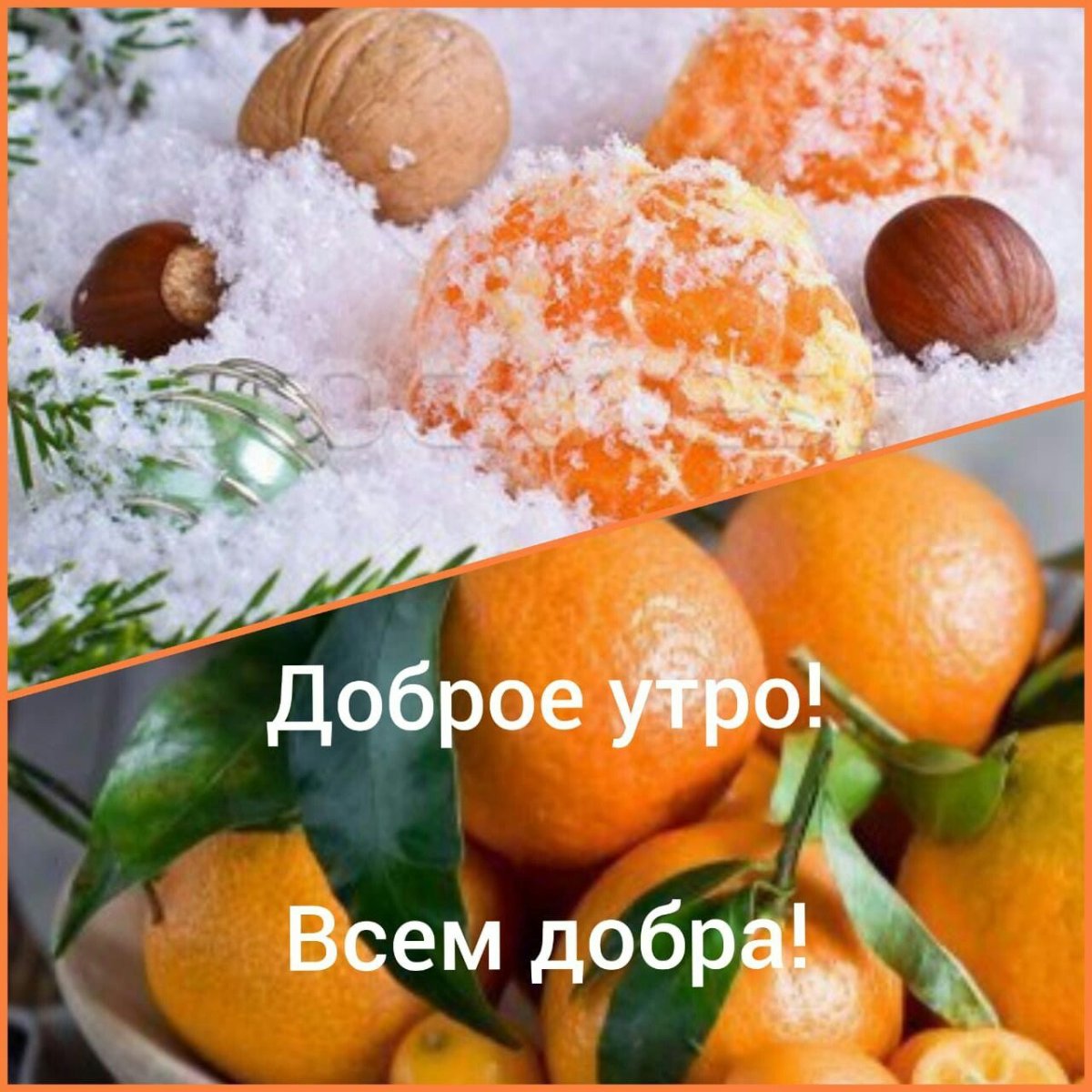 Сорбет Tonitto