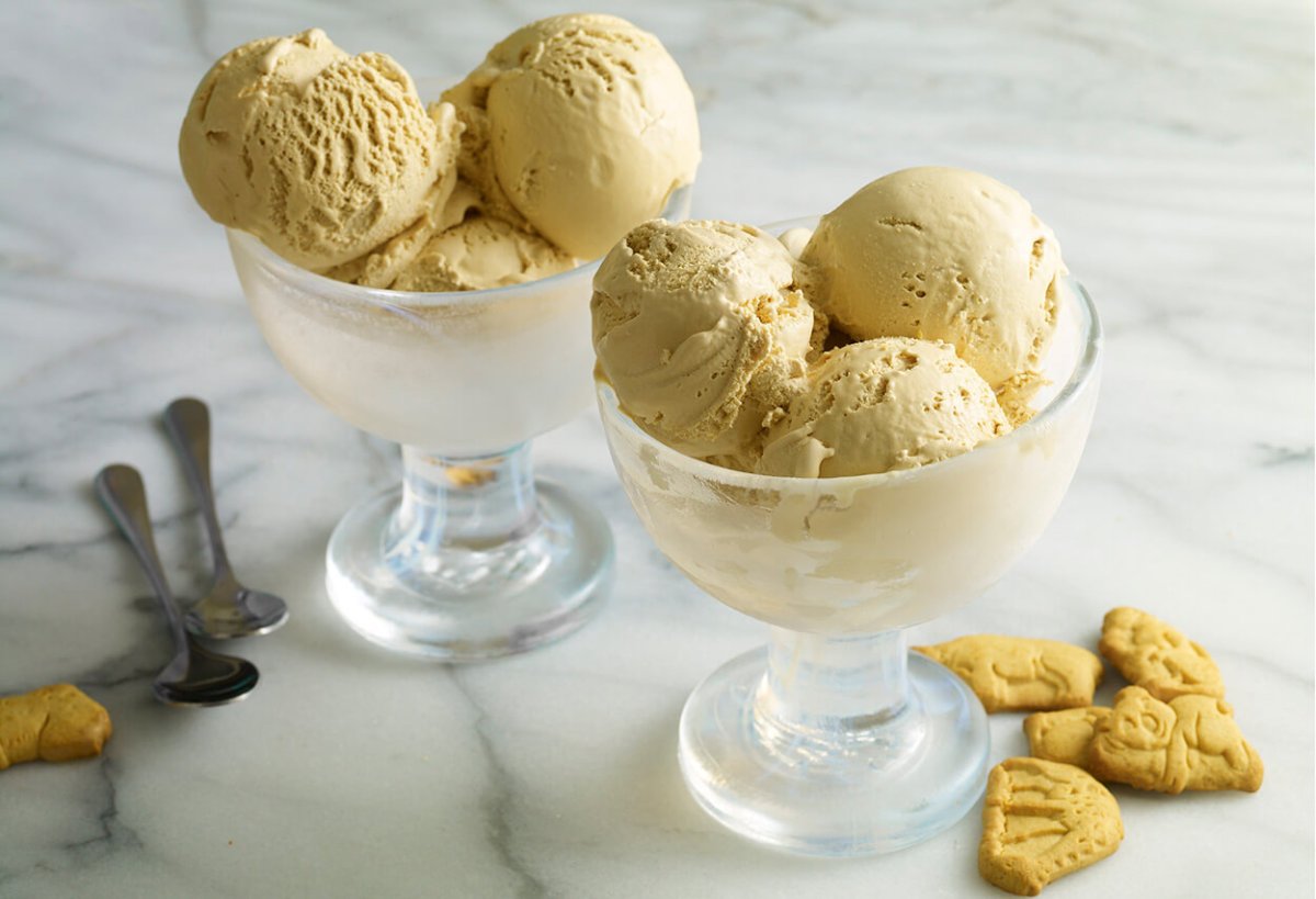 USA Vanilla Ice Cream