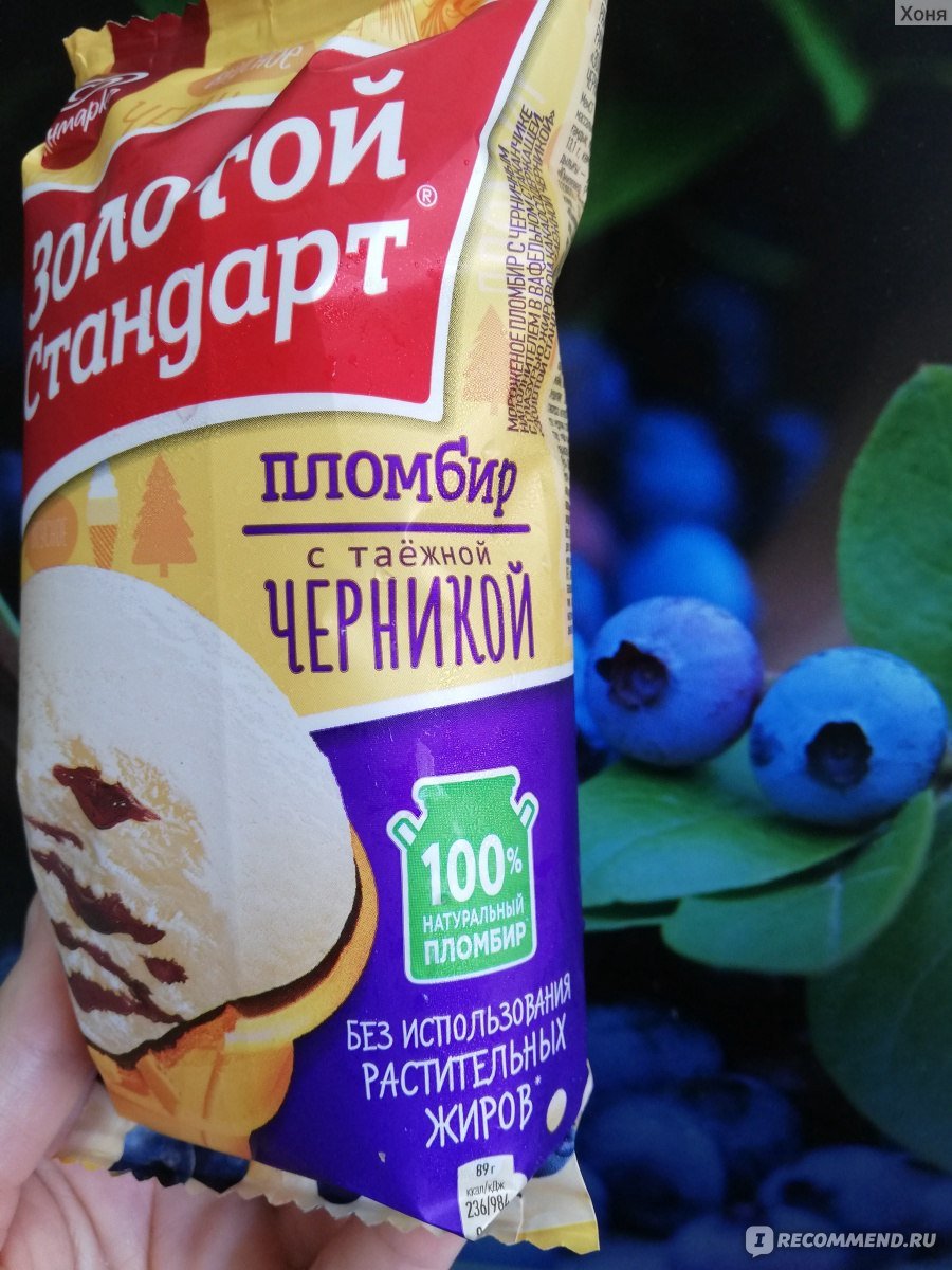 Таежная черника мороженое