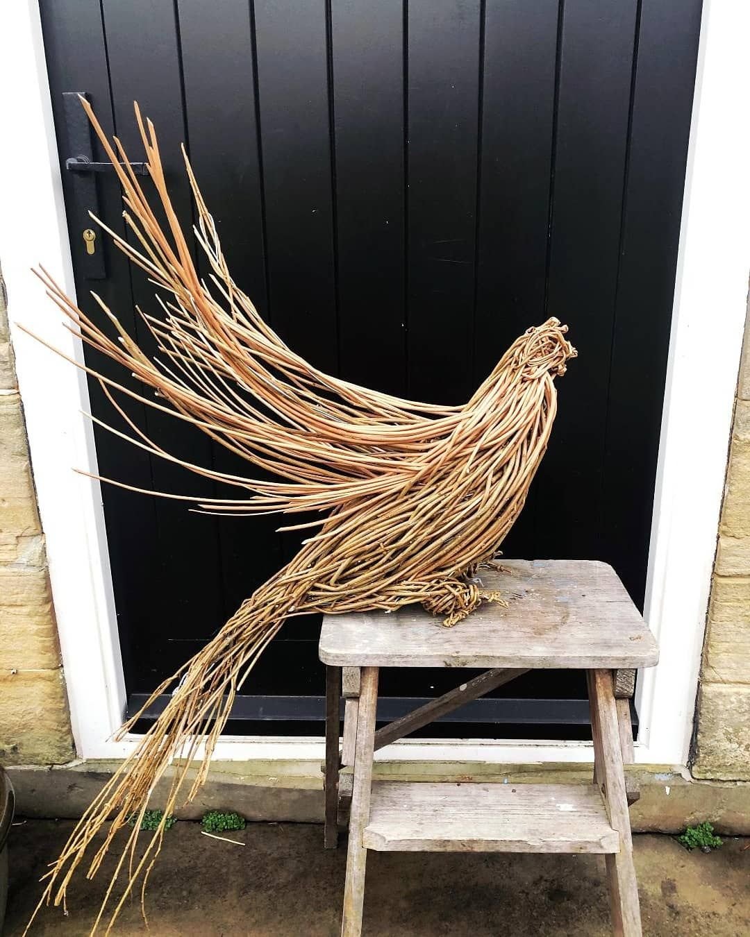Anna & the Willow