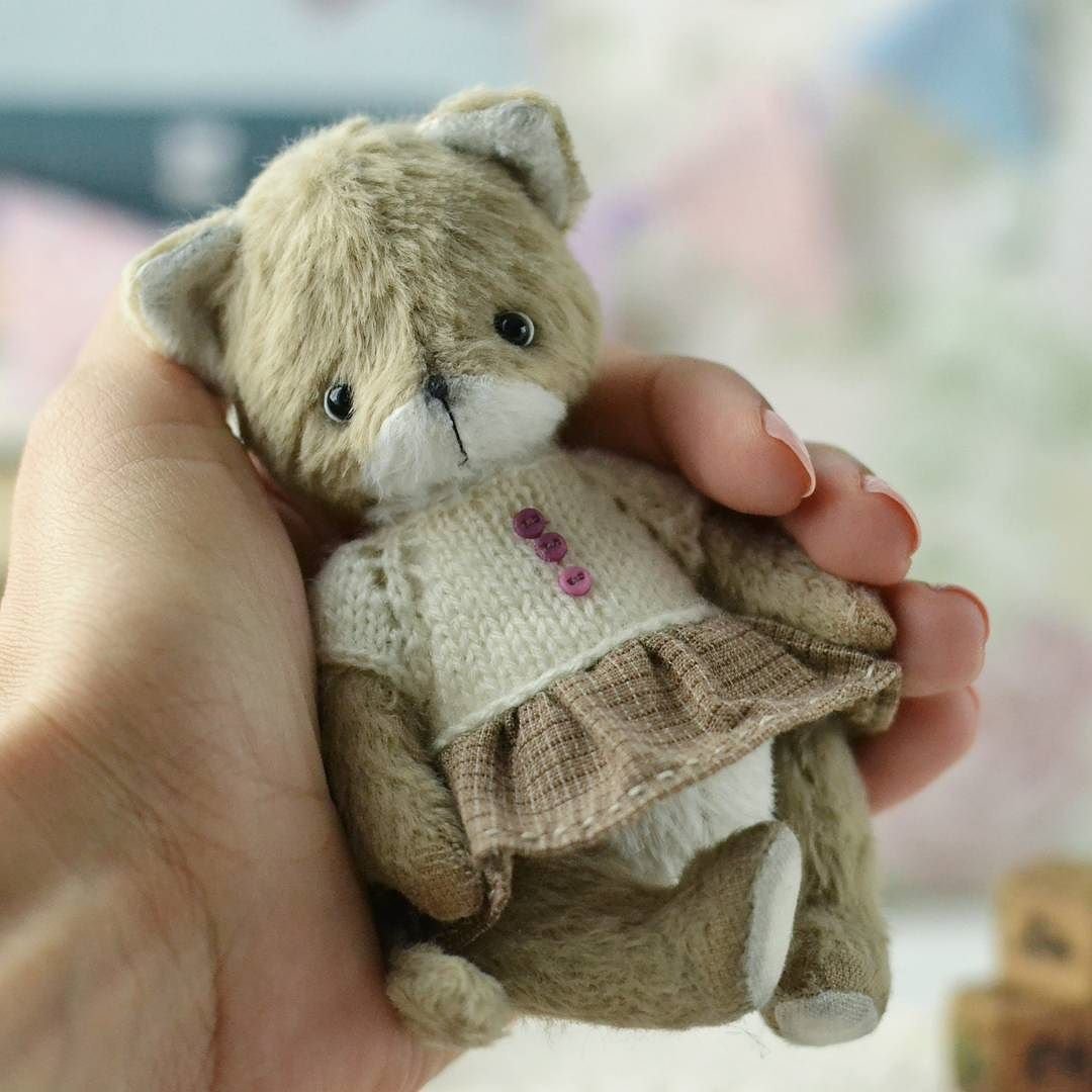 Teddy Kitty