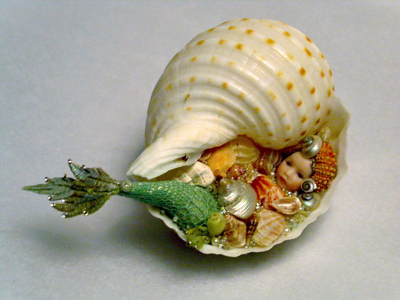 Sea Shell Creatures: an easy and adorable beach craft!
