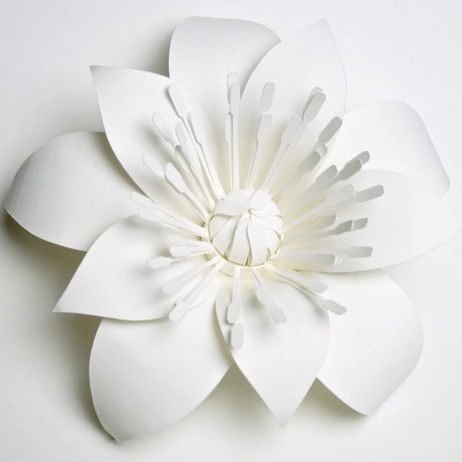 Поделка белый цветок из бумаги - 82 фото