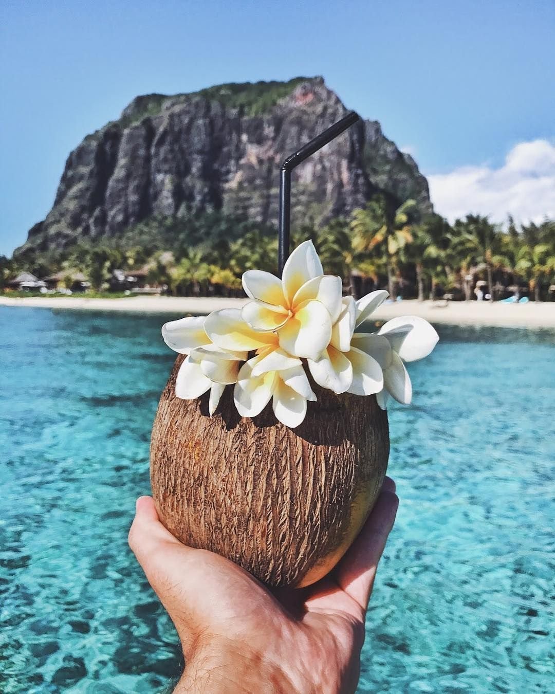 Цветы кокоса