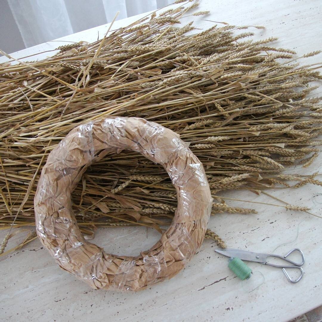 Поделки из колосков пшеницы