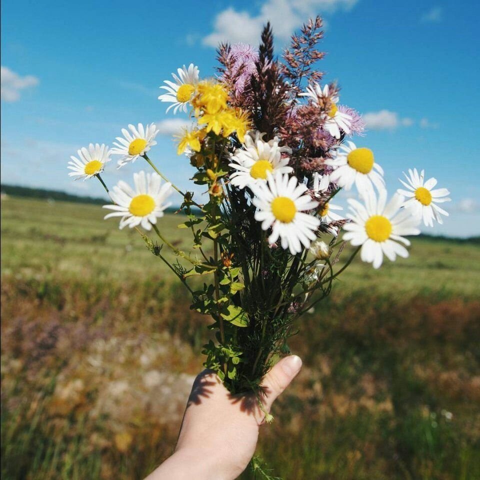 Девушка сзади лето