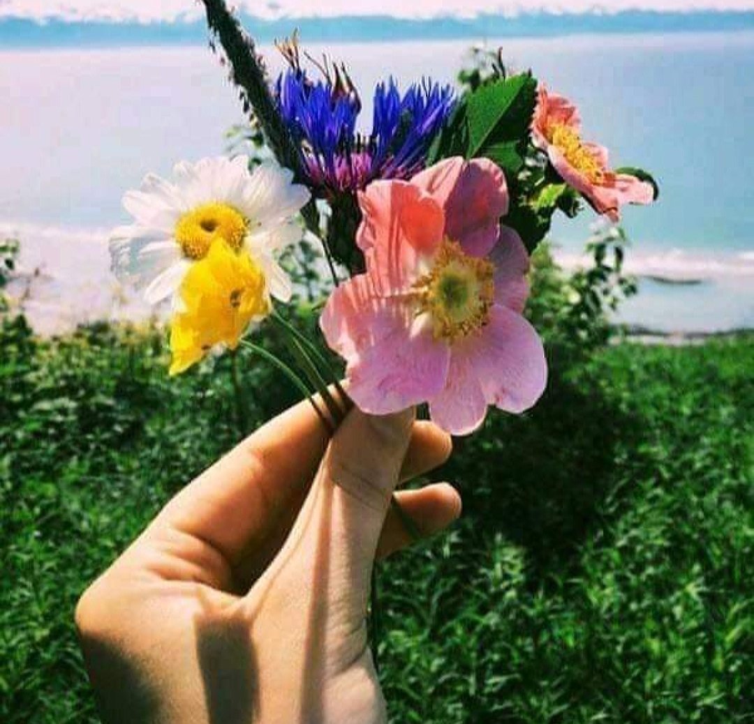 Стаканчик кофе на море