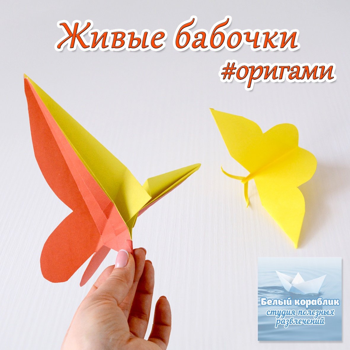 Бабочки оригами Раскрашенные