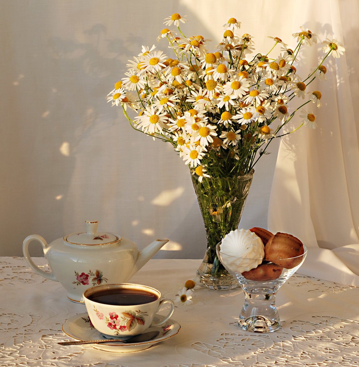 Фото воскресного утра. Утренние цветы. Утренний букет. Натюрморт с ромашками. Утренний натюрморт.