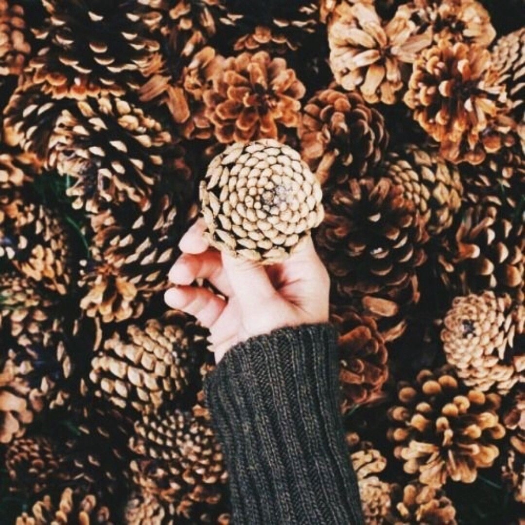 Поделки Эстетика