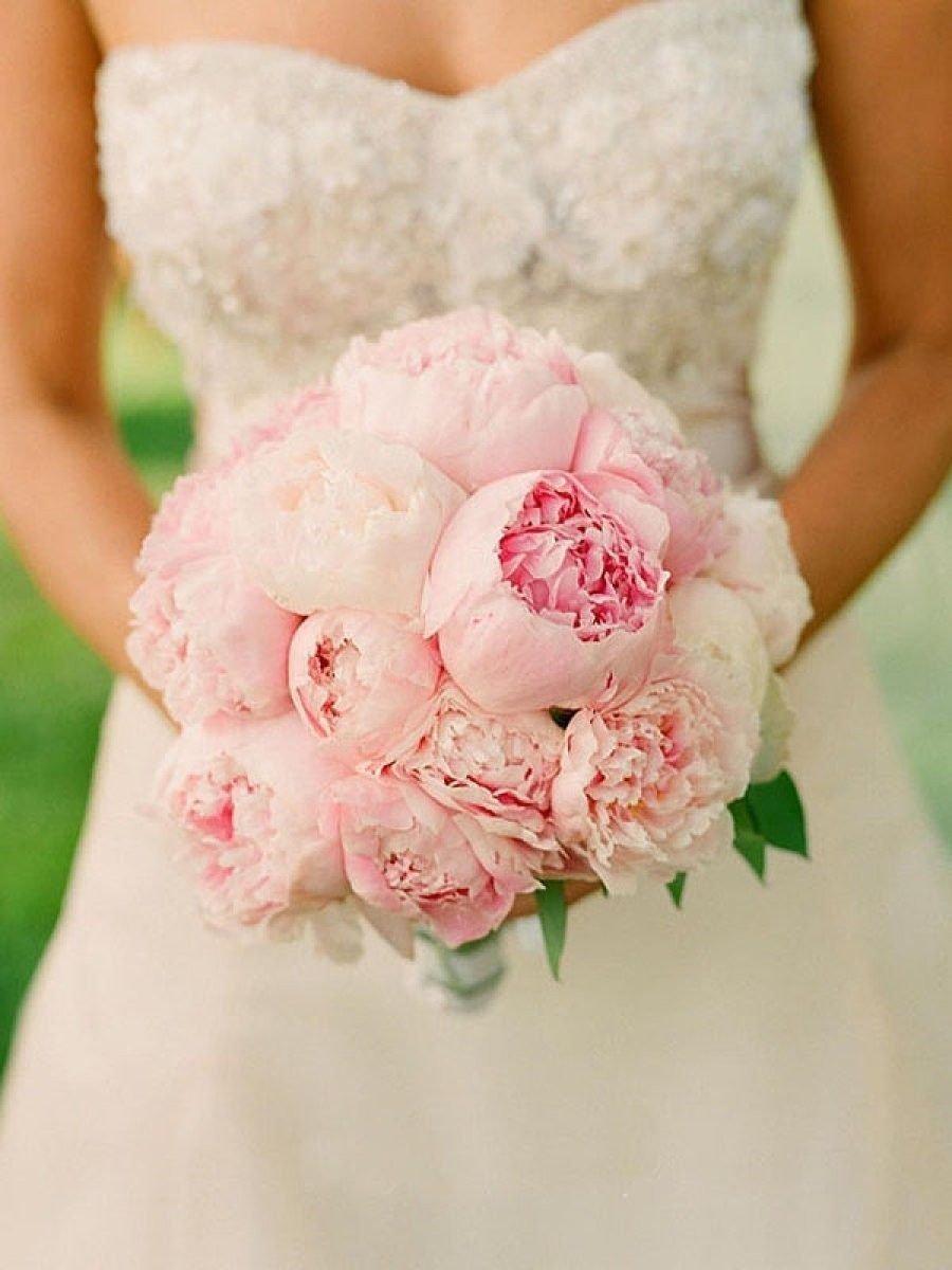 Bridal Bouquet пион