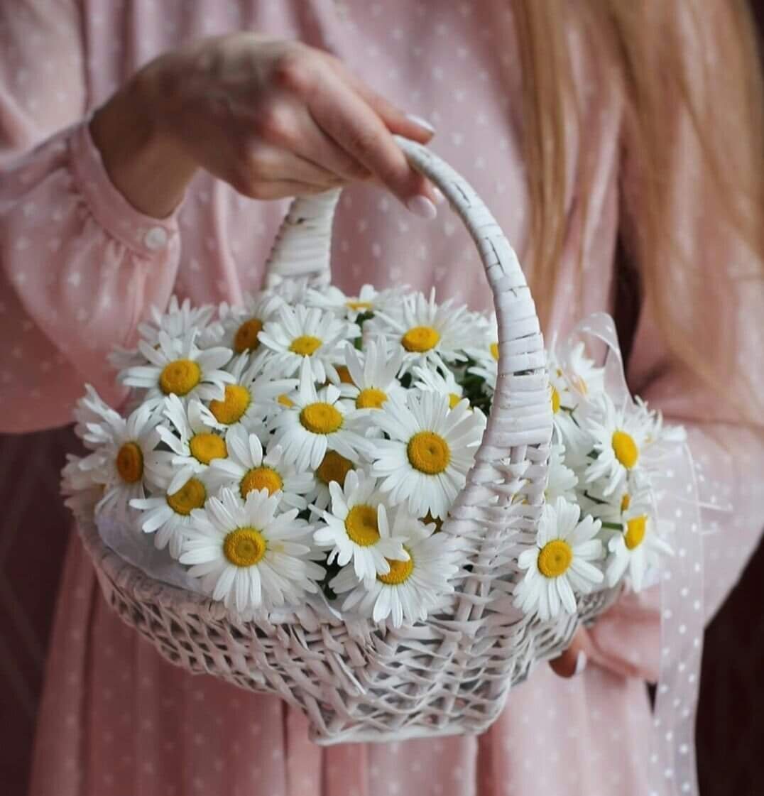 Ромашковое счастье