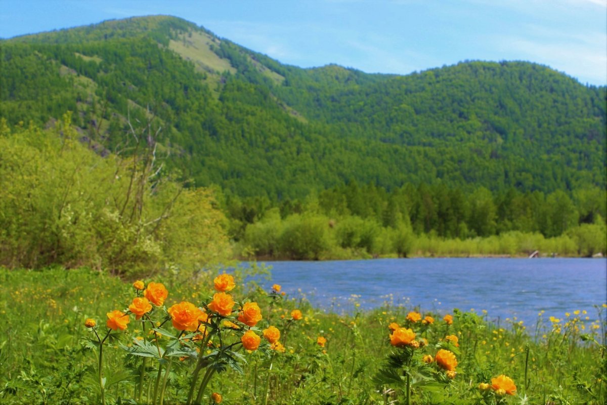 Саяны Красноярский край жарки