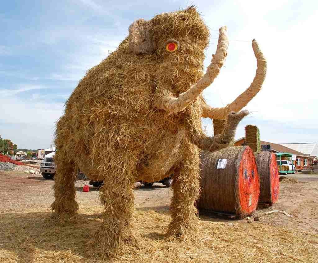 Фигуры из сена