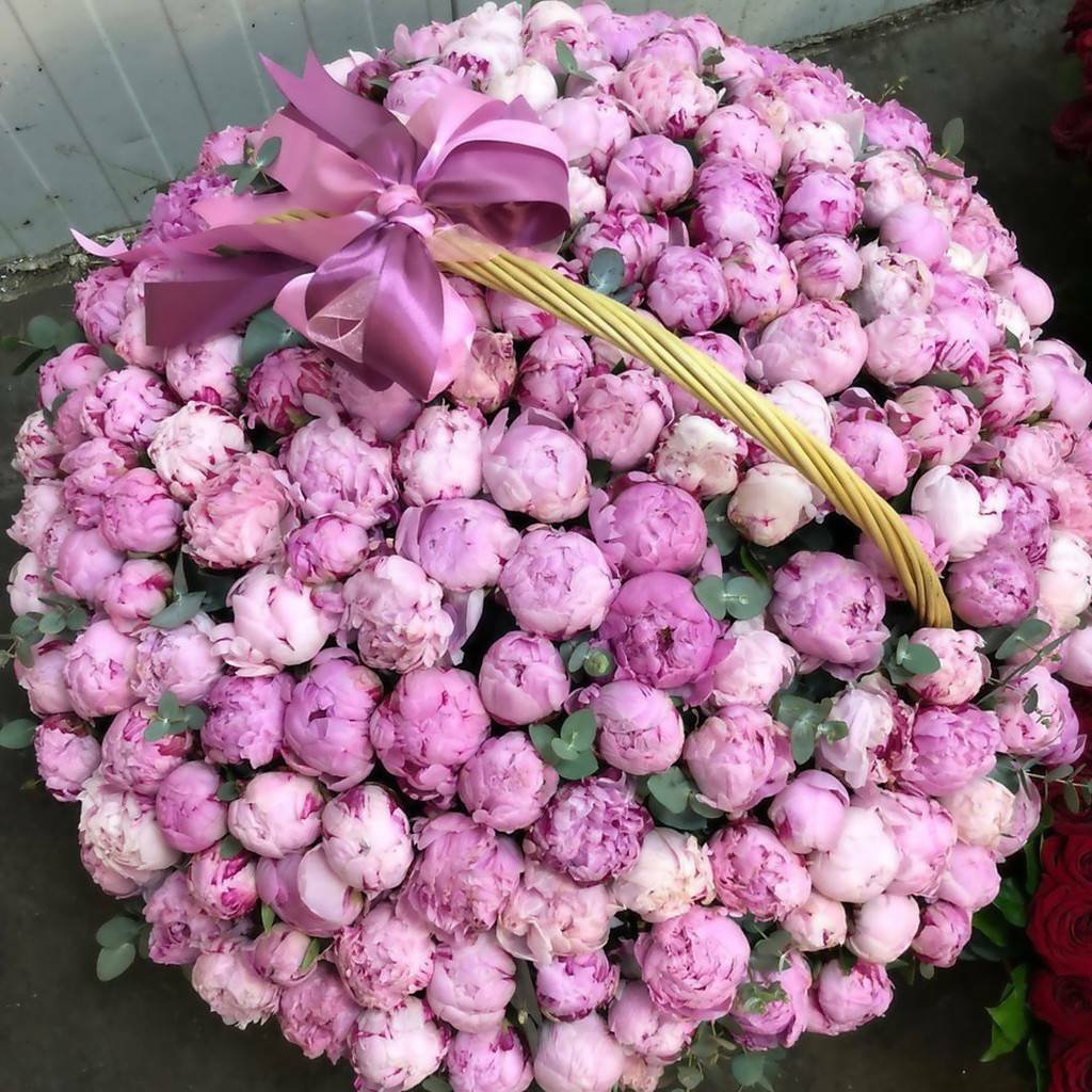Пионы огромный букет
