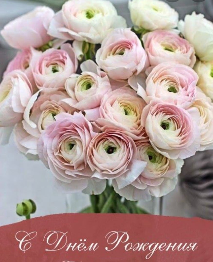 Лютики ранункулюсы